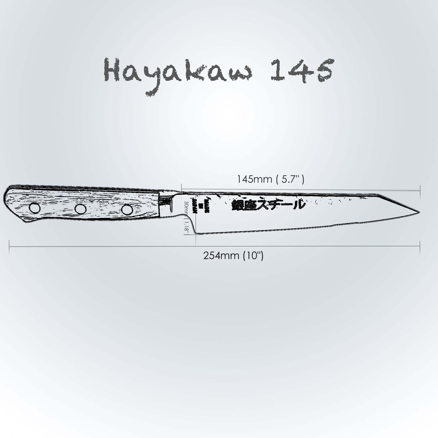 Hayakawa 145- Kiritsuke Petty Knife 145mm blade Ginza Steel