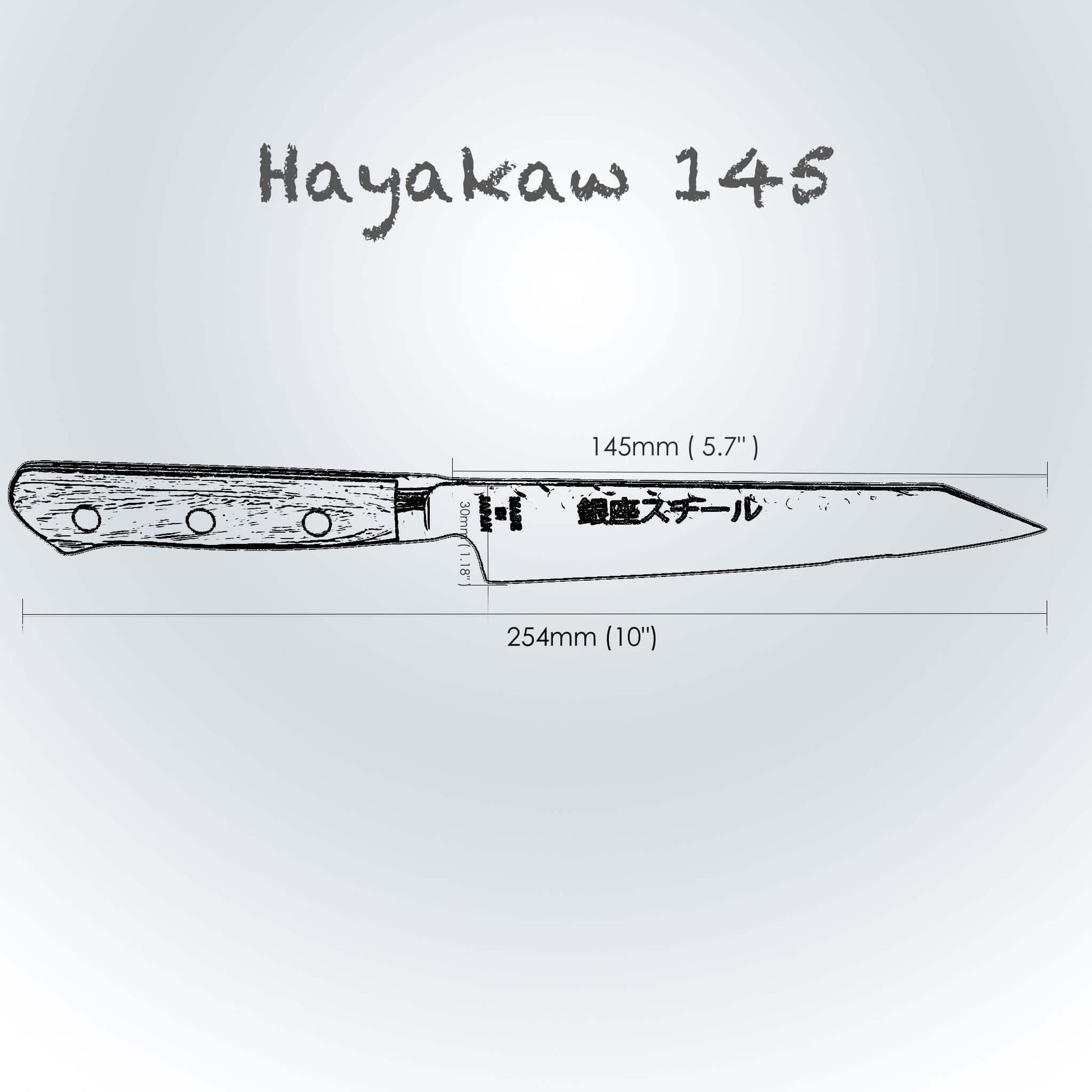 Hayakawa 145- Kiritsuke Petty Knife 145mm blade Ginza Steel