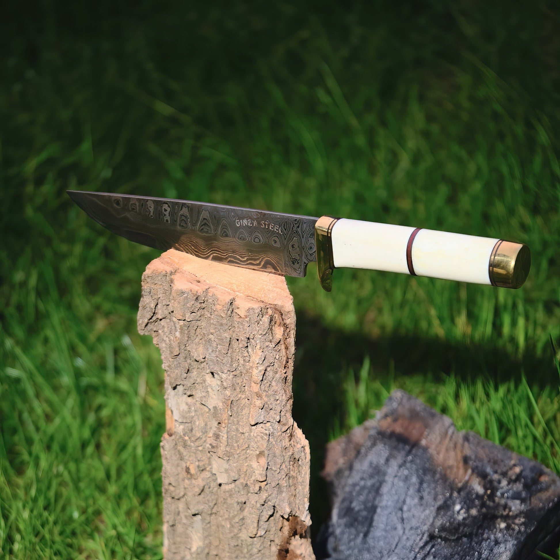 Haruto Bowie Knife - Camel Bone Handle 7.5 inch with Original leather Sheath Ginza Steel