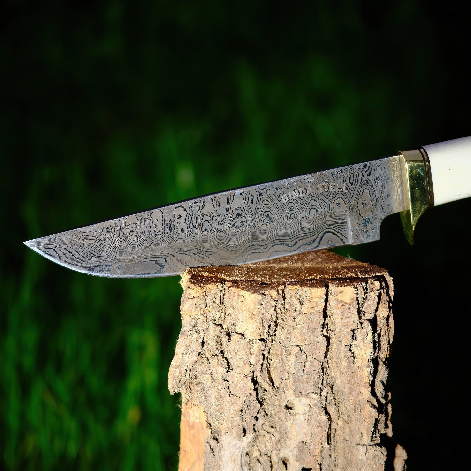 Haruto Bowie Knife - Camel Bone Handle 7.5 inch with Original leather Sheath Ginza Steel