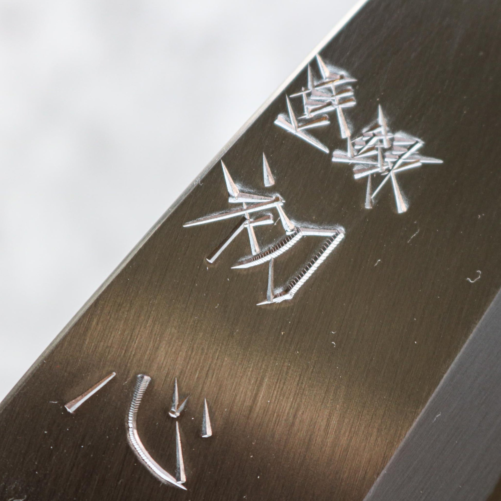 Hatsukokoro Shirasagi Migaki Deba 165 mm SHARP Knife Shop