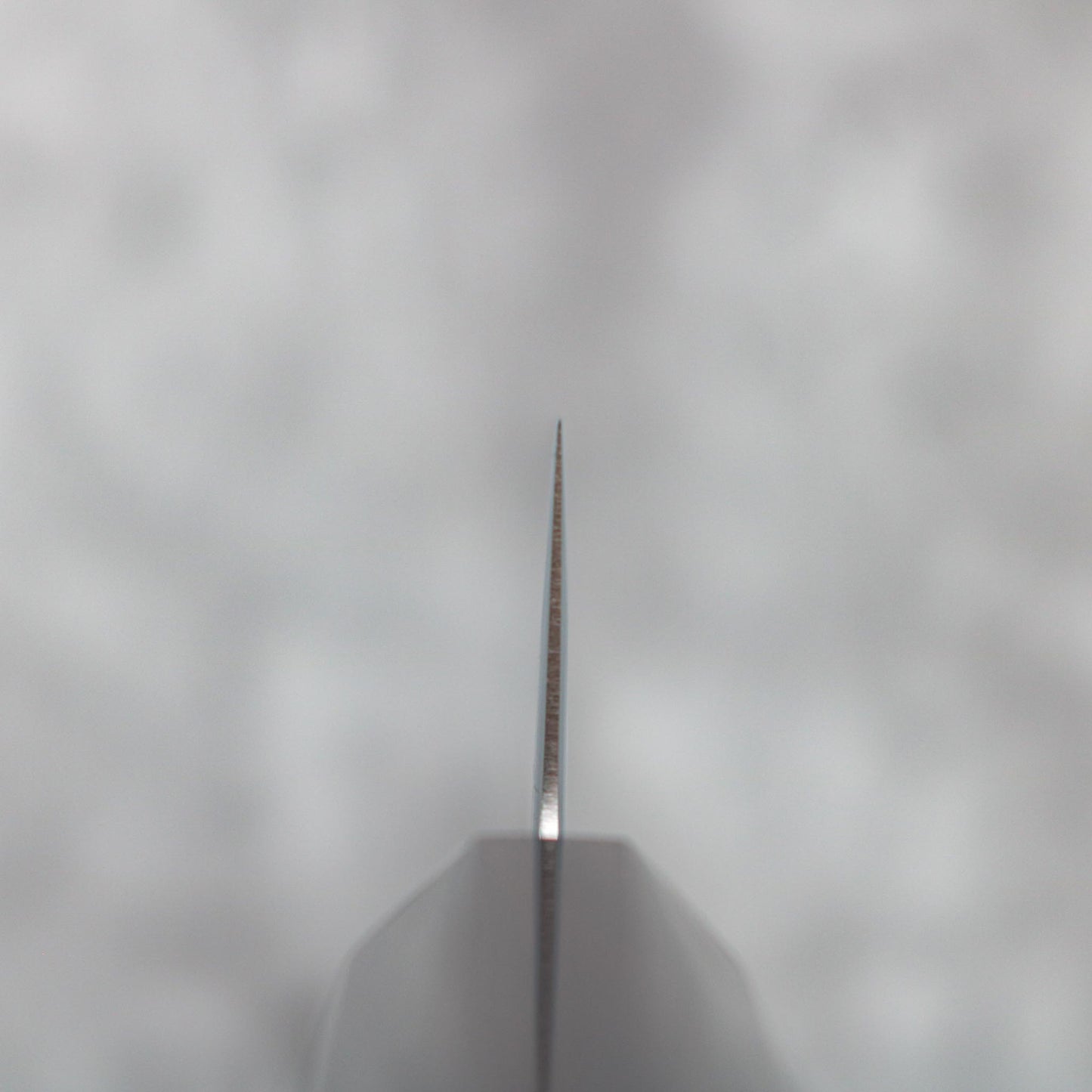 Hatsukokoro Hikari SLD Petty 130mm SHARP Knife Shop