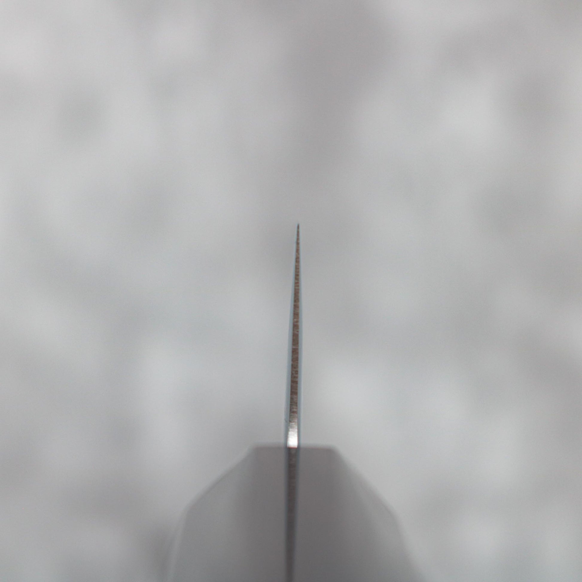 Hatsukokoro Hikari SLD Petty 130mm SHARP Knife Shop