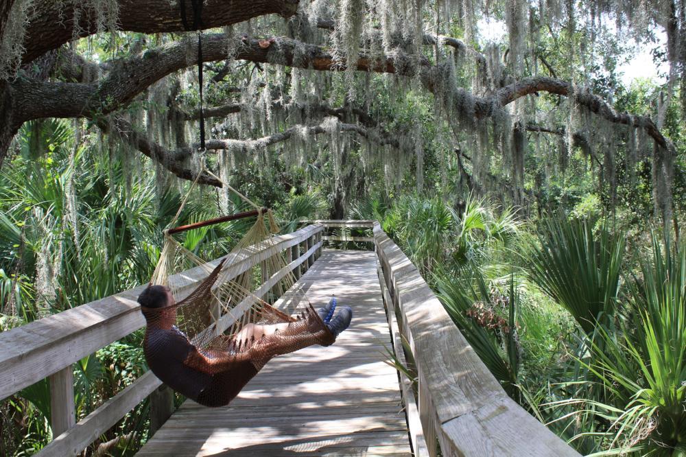 Mayan Hammock Chair Hammock Universe Canada