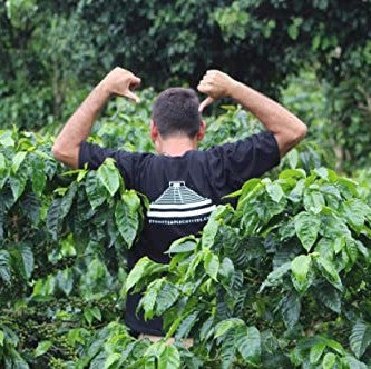 Honduran House Roast - Ground, Medium Roast, Certified Organic OCIA/ Fairtade Coffee 1lb/454g