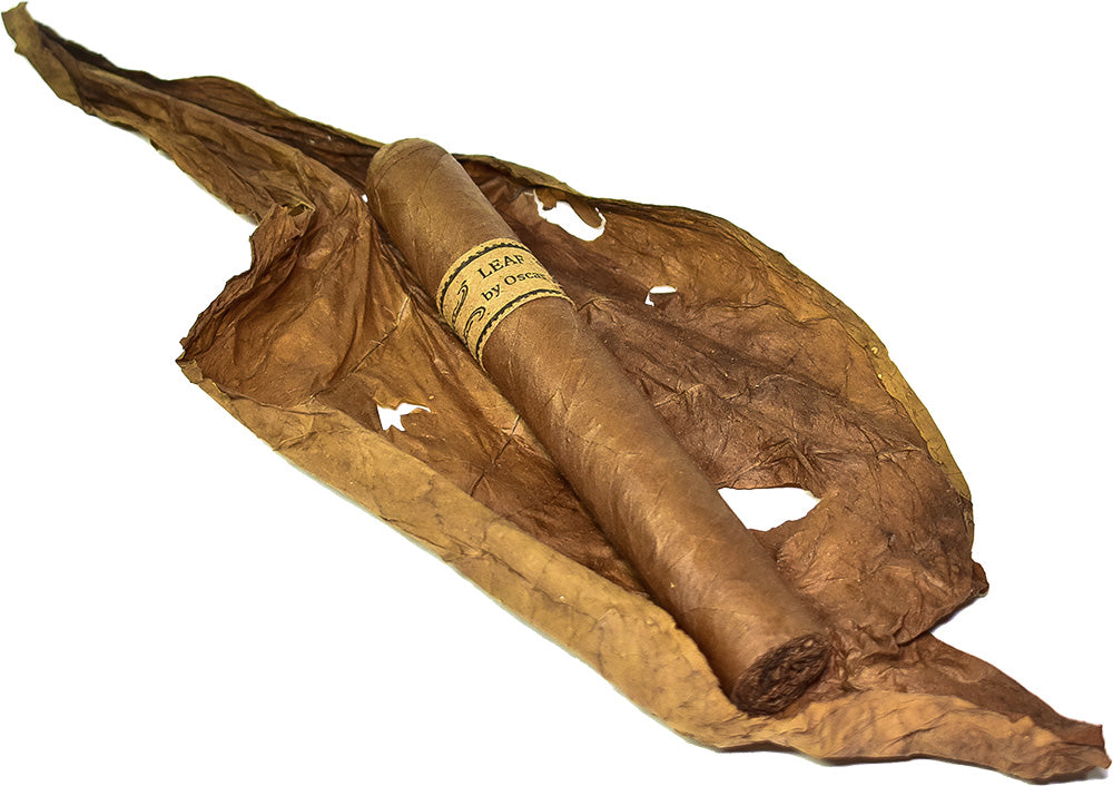 Oscar Valladares Leaf Sumatra