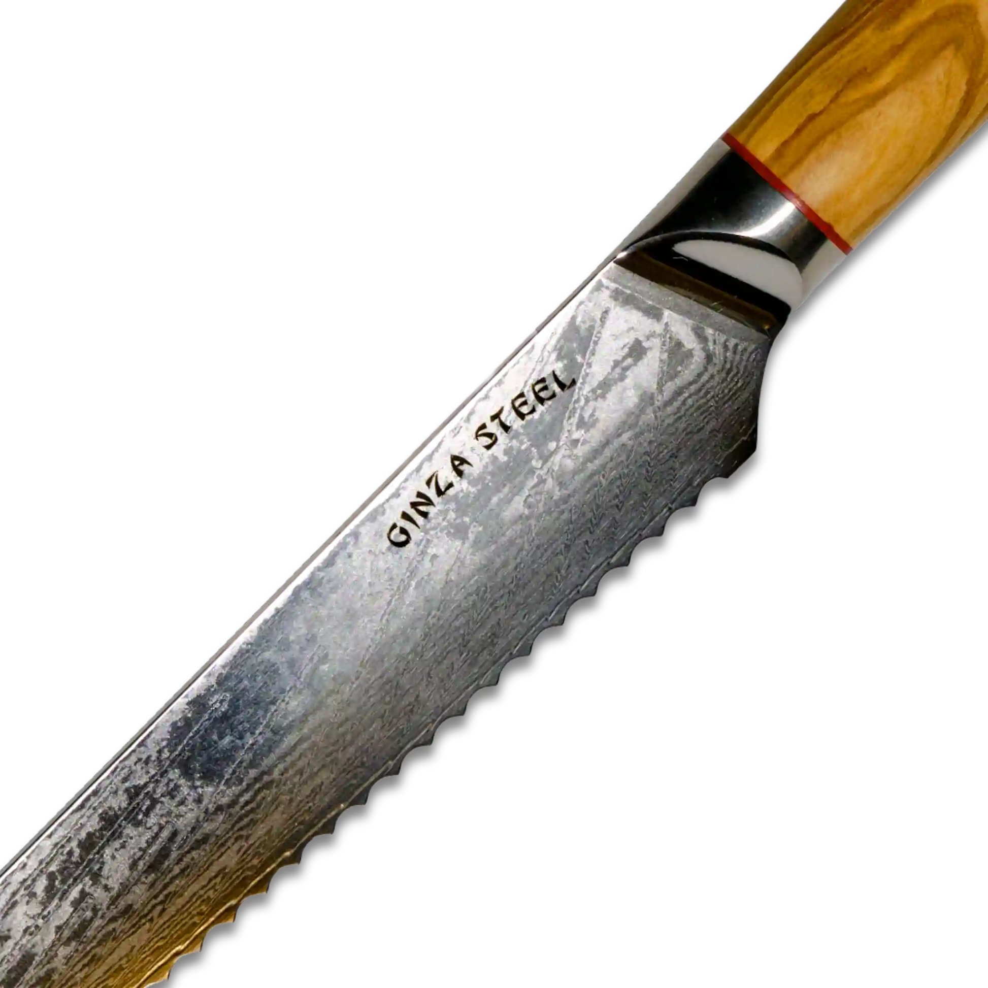 MIA Z | BREAD KNIFE 8" Damascus AUS10 Steel 67 Layer / Olive Wood handle Ginza Steel