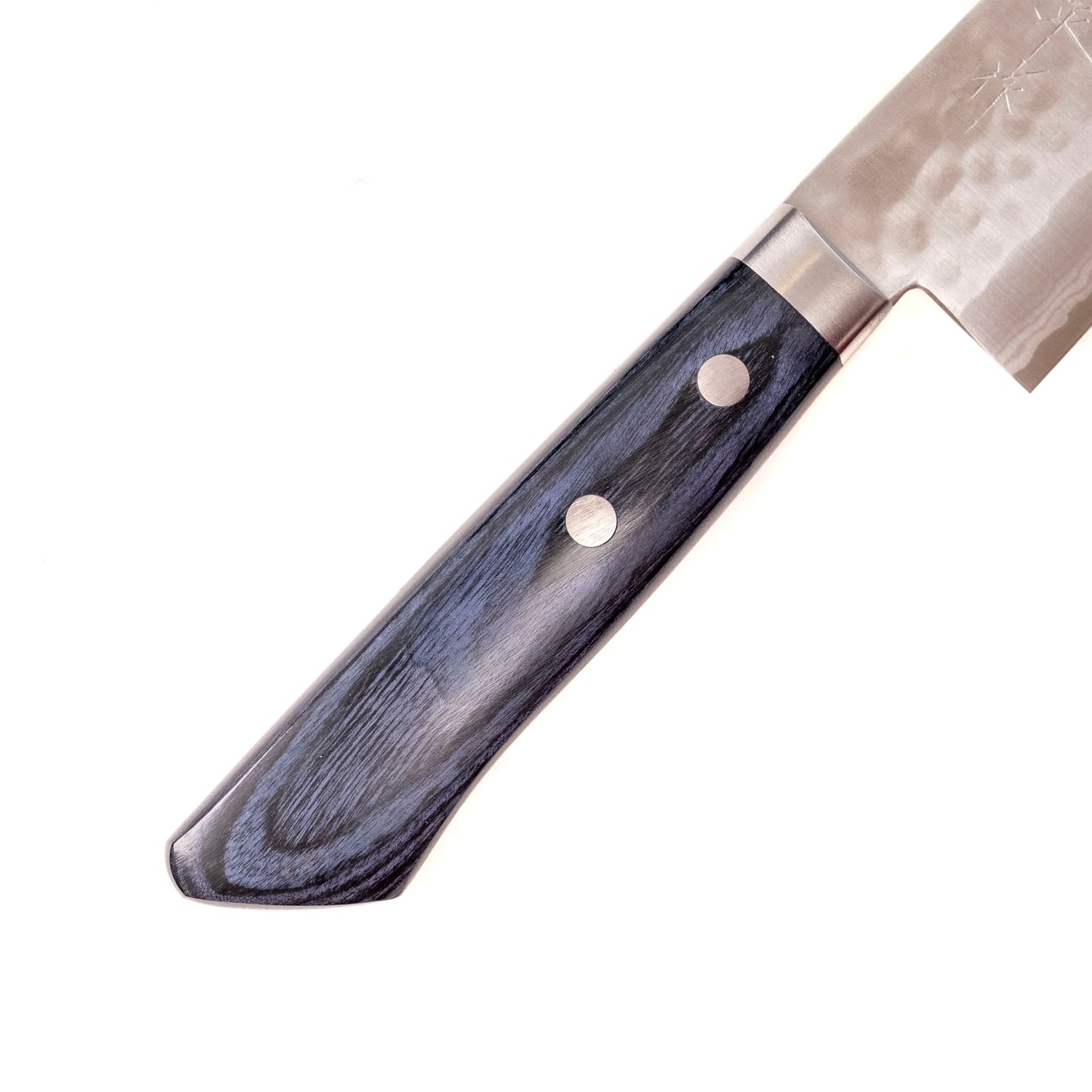 Masutani Kokuryu Gyuto 180 mm SHARP Knife Shop