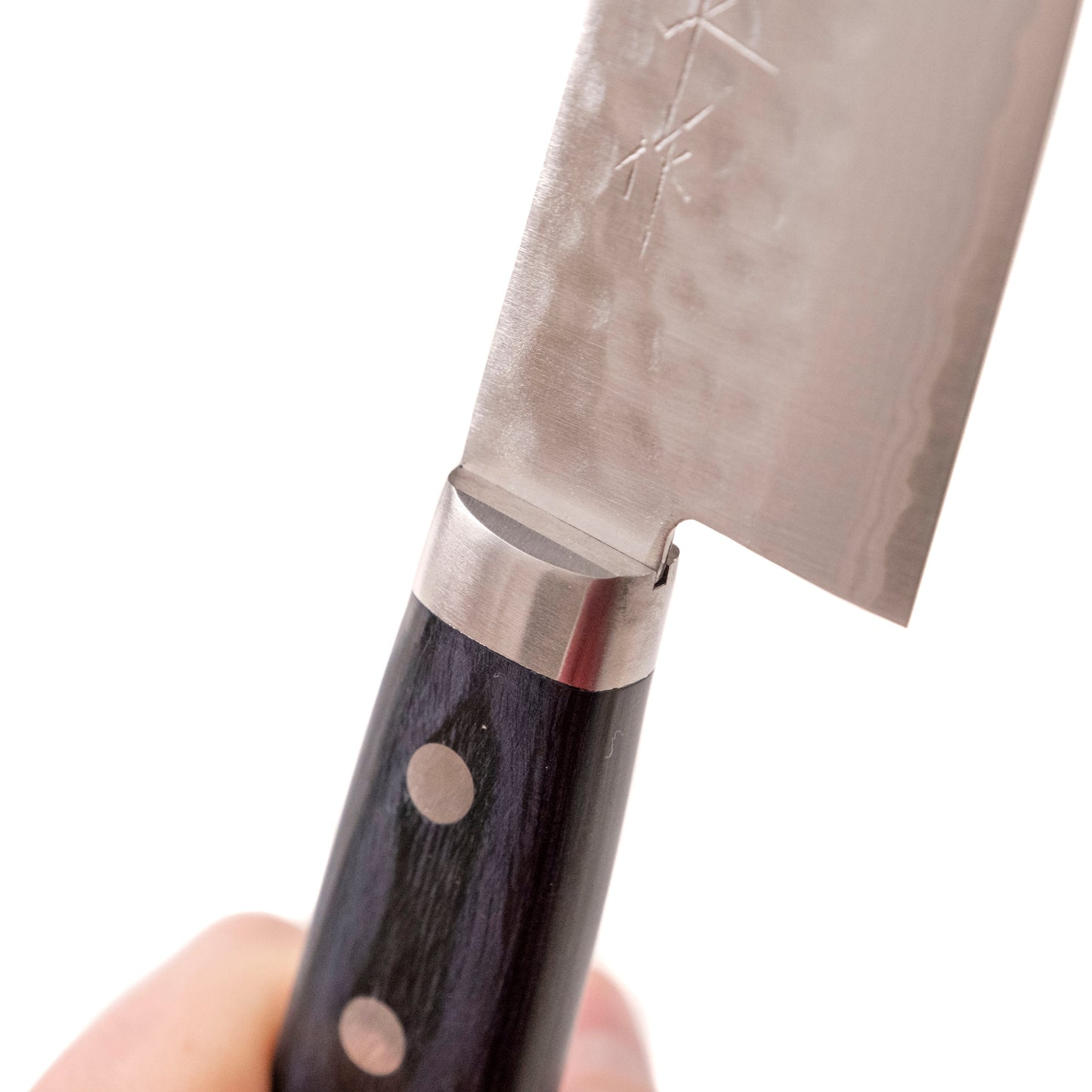 Masutani Kokuryu Gyuto 180 mm SHARP Knife Shop
