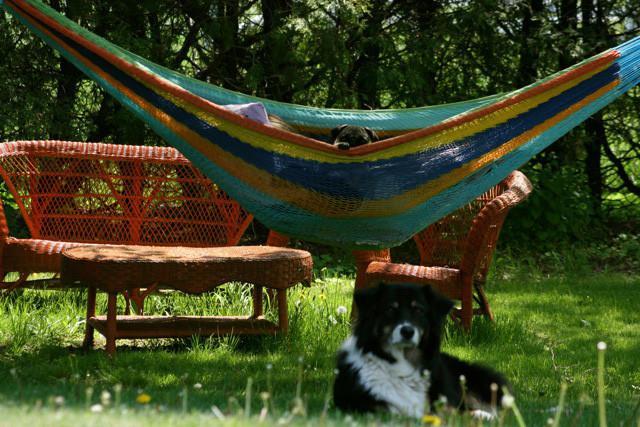 Mayan Hammock - XL Family-sized Thick Cord Hammock Universe Canada