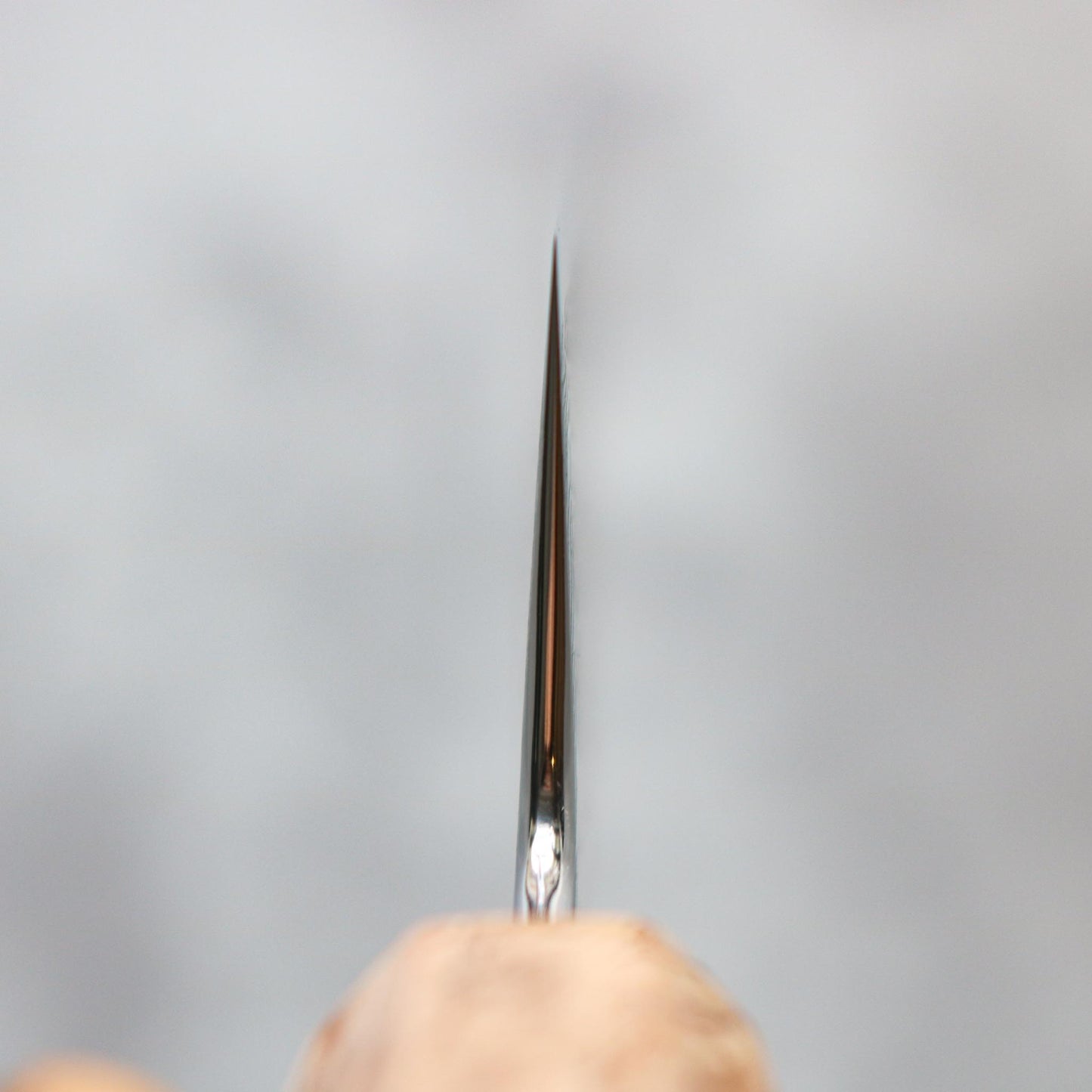 Ryusen Hamono Fukaku-ryu Sujihiki 270 mm SHARP Knife Shop