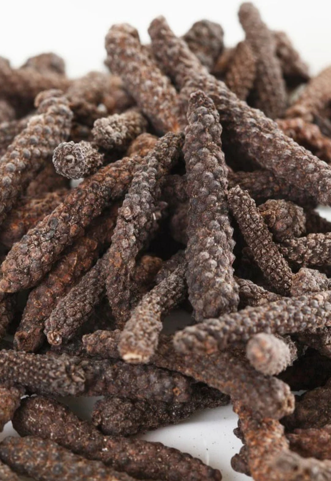 long pepper