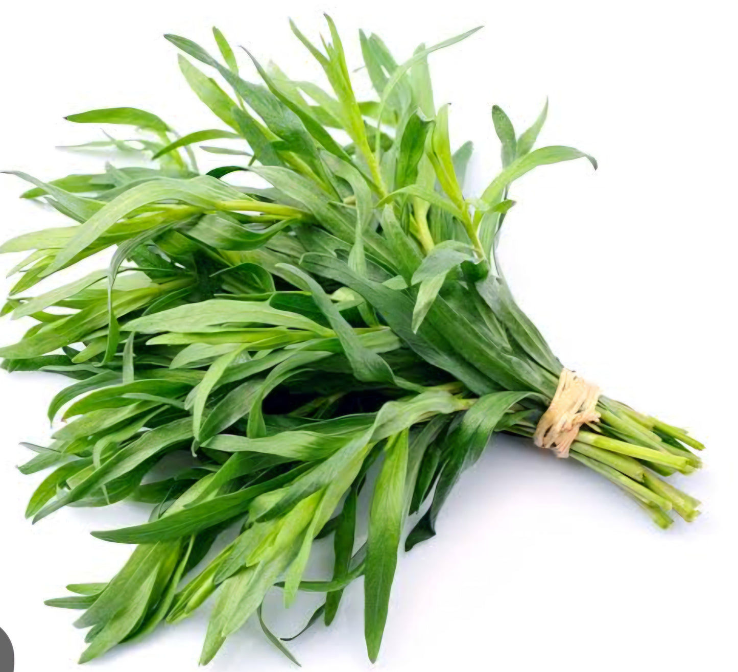 Tarragon Spice