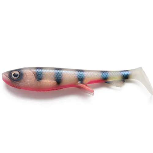 Shad 30cm, Pike & Musky