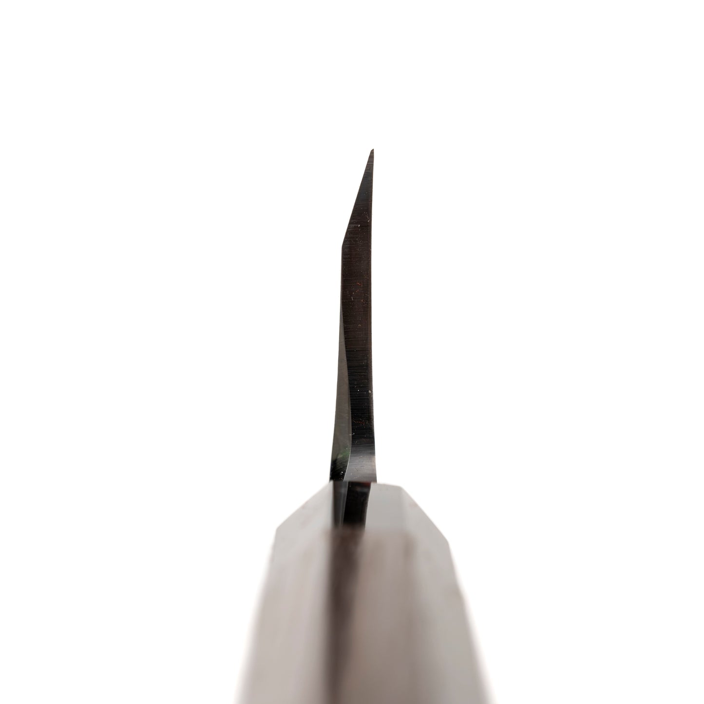 Hatsukokoro Shirasagi Migaki Deba 185 mm SHARP Knife Shop