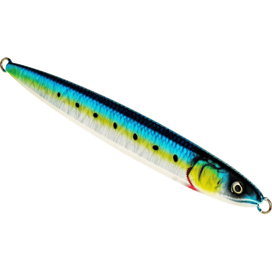 Flashin Anchovy