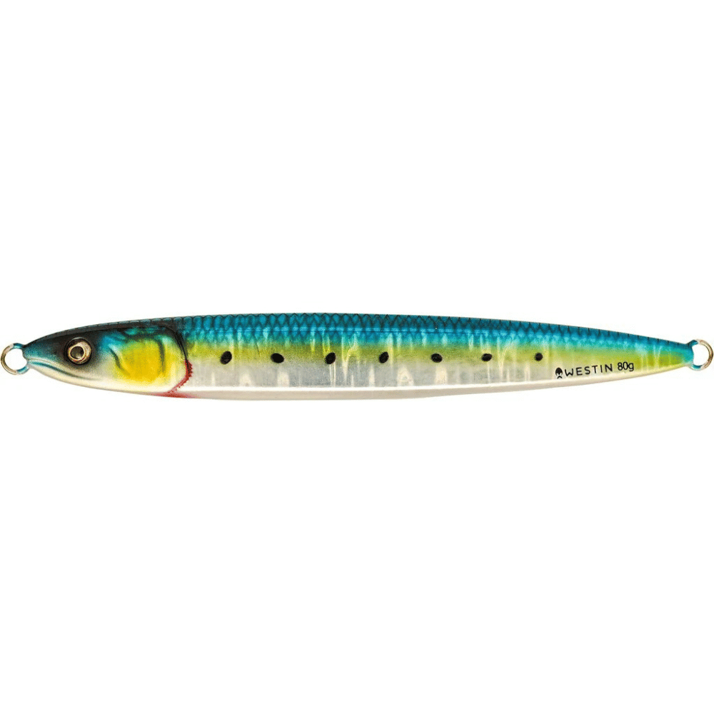 Flashin Anchovy