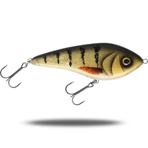 Swim 10cm