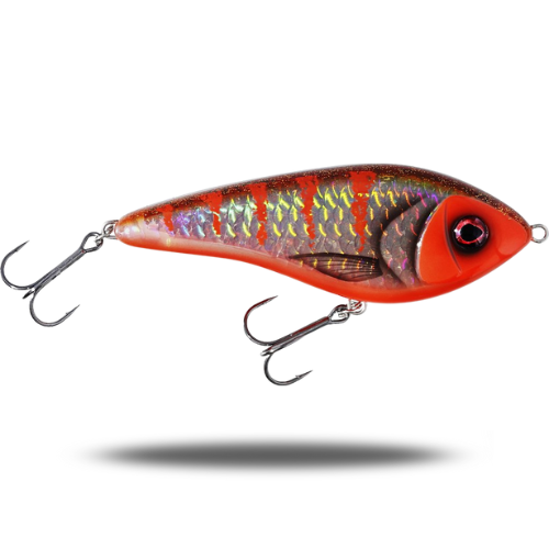 Swim 10cm