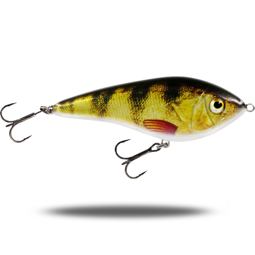 Swim 10cm
