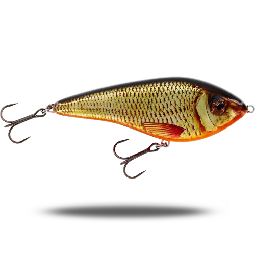 Swim 13.5cm