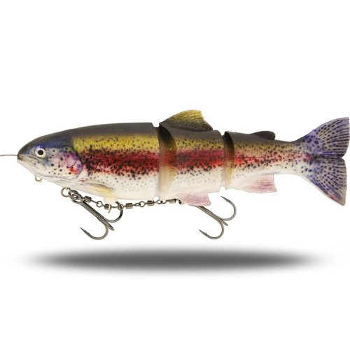 Tommy The Trout Inline