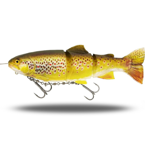 Tommy The Trout Inline