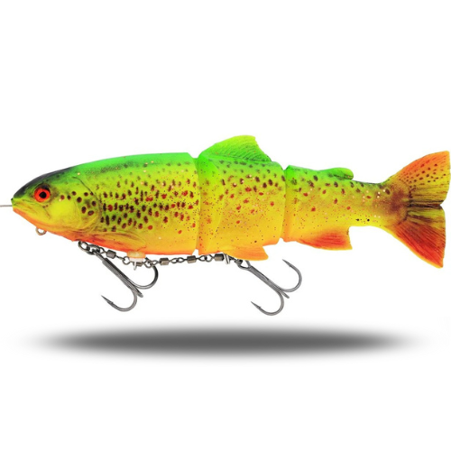 Tommy The Trout Inline