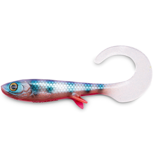 Curly 29cm