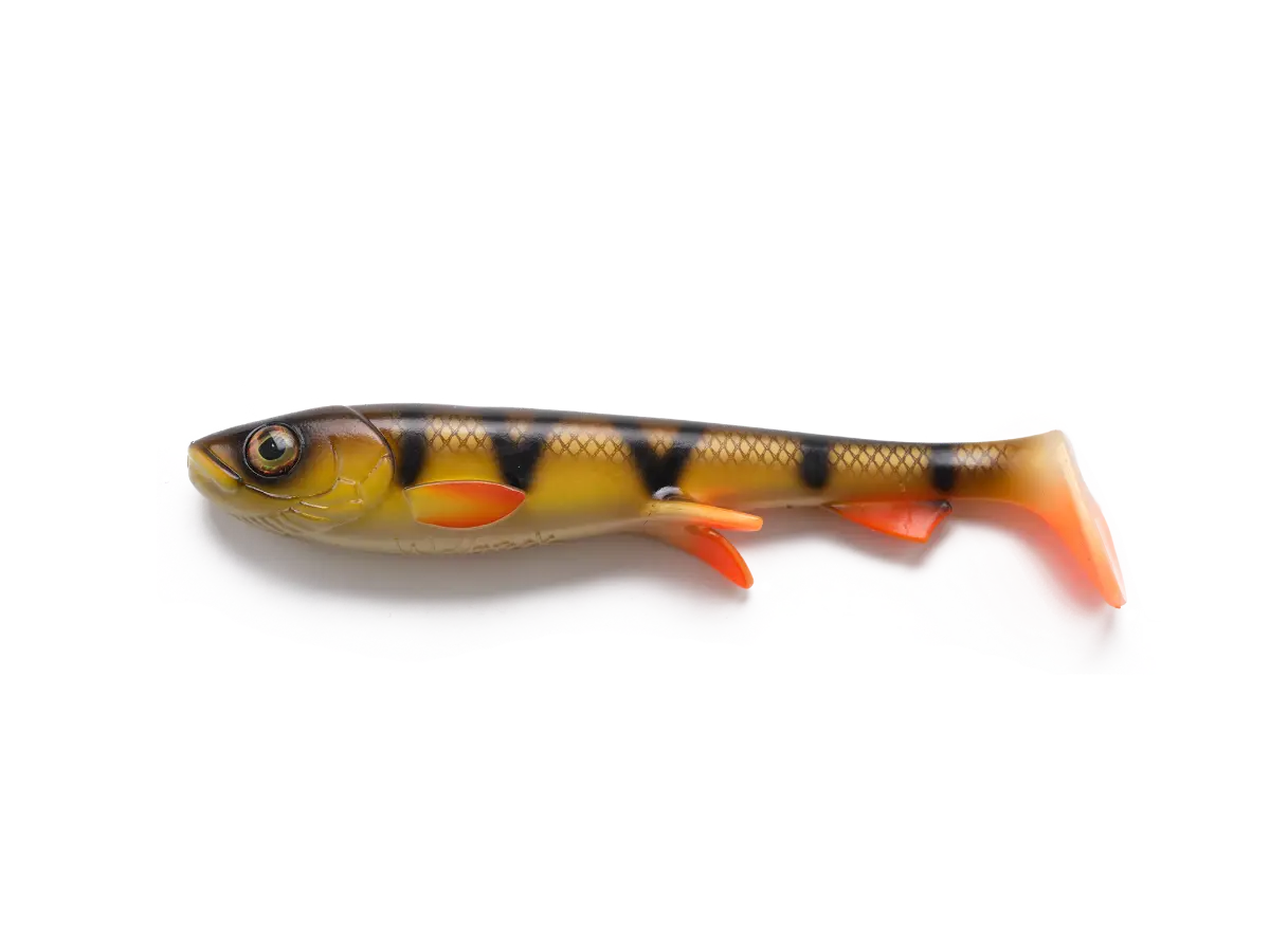 Shad 20cm - Pike & Musky