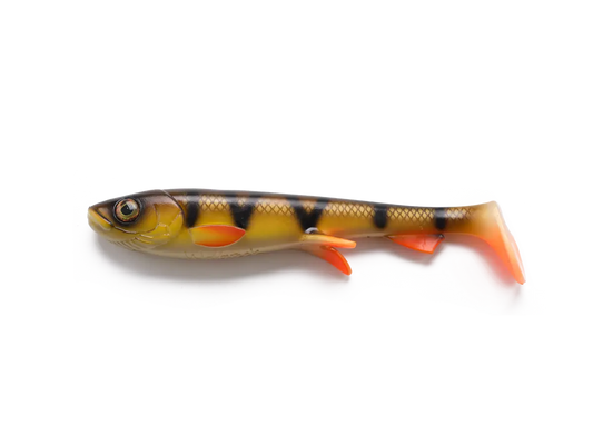 Shad 2.0 15 cm - Pike & Musky