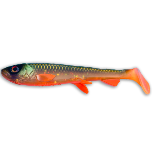 Shad 2.0 15 cm - Pike & Musky