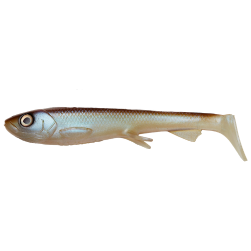 Shad 2.0 15 cm - Pike & Musky