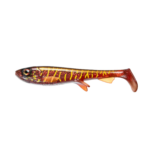 Shad 17cm (NEW 2026)