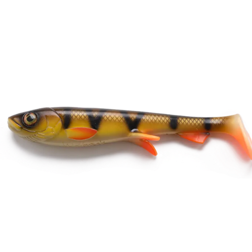 Shad 17cm (NEW 2026)