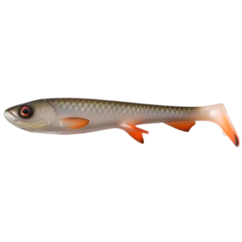 Shad 17cm (NEW 2026)