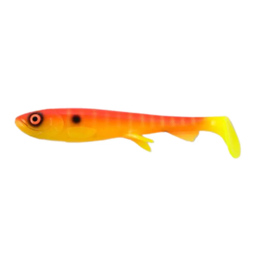Shad 17cm (NEW 2026)