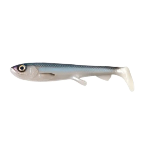 Shad 17cm (NEW 2026)