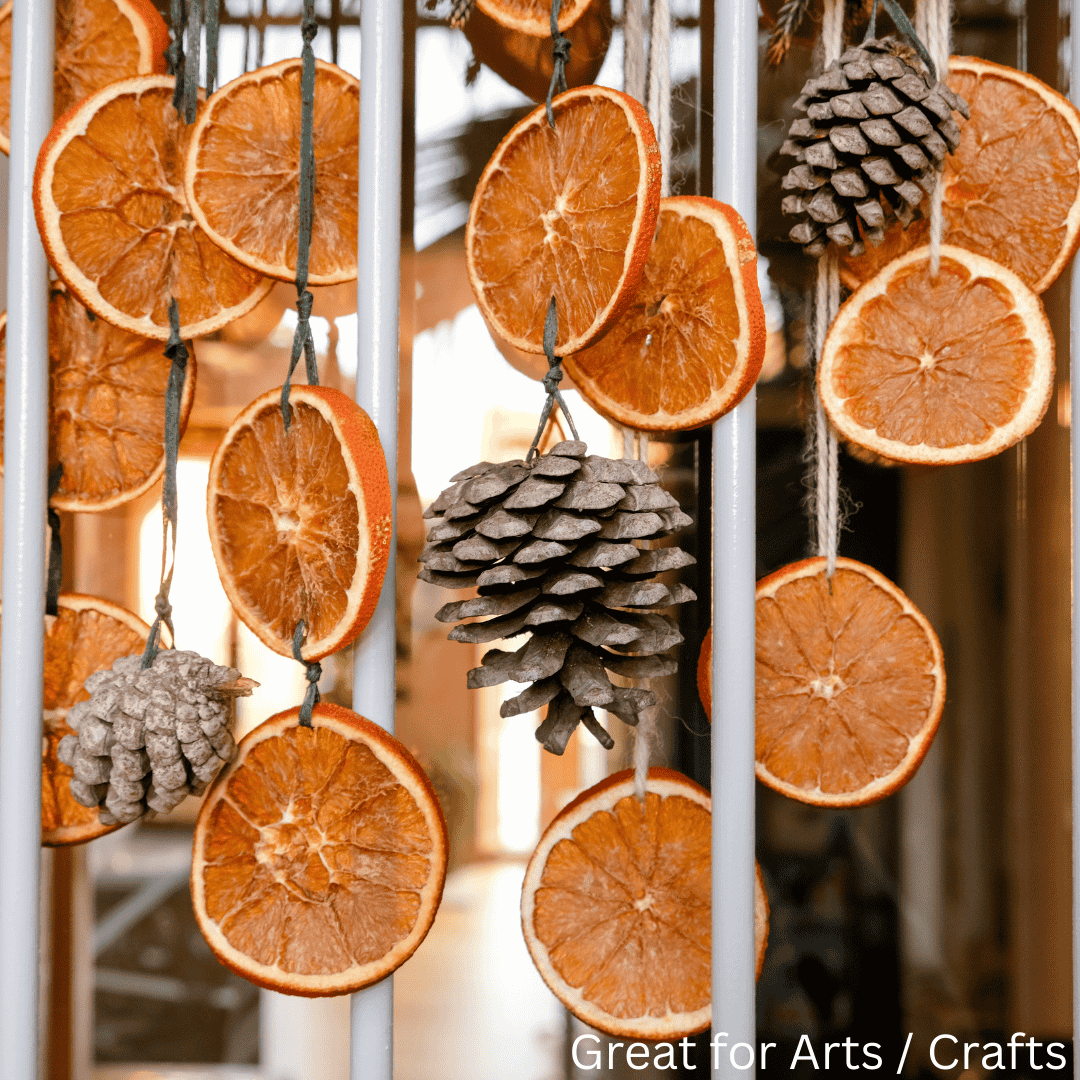 Dehydrated Orange Slices – All-Natural & Preservative-Free | Perfect for Tequila & Mezcal Cocktails, Tea, Baking, Garnishes & Décor MI AMOR FOODS INC
