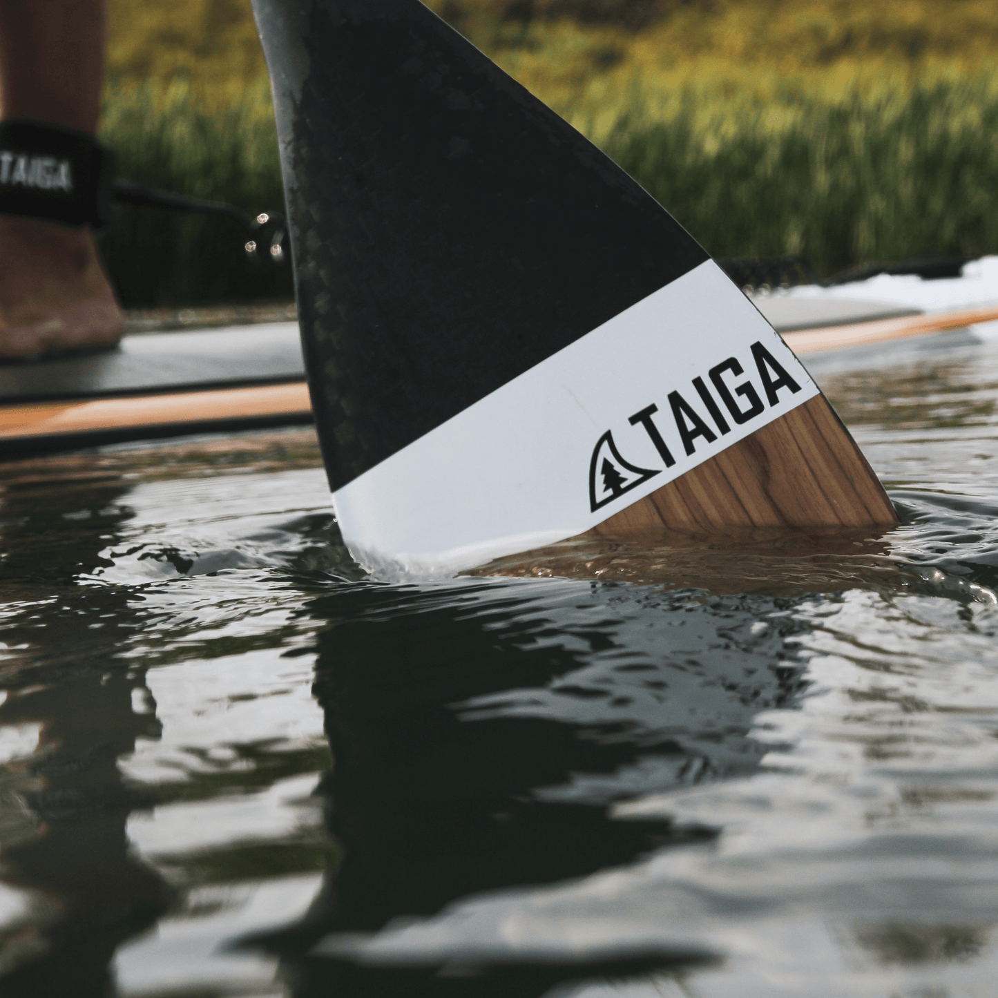 DIAMOND PADDLE - WOOD CARBON 12k - Fix 1 piece