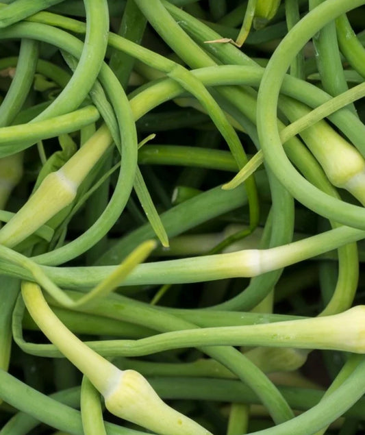 Ear to Earth Garlic Scape Powder