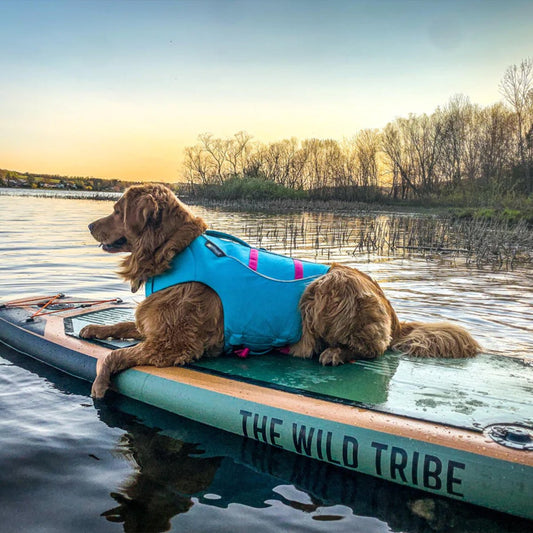 Sequoia 11' - Inflatable Paddleboard The Wild Tribe