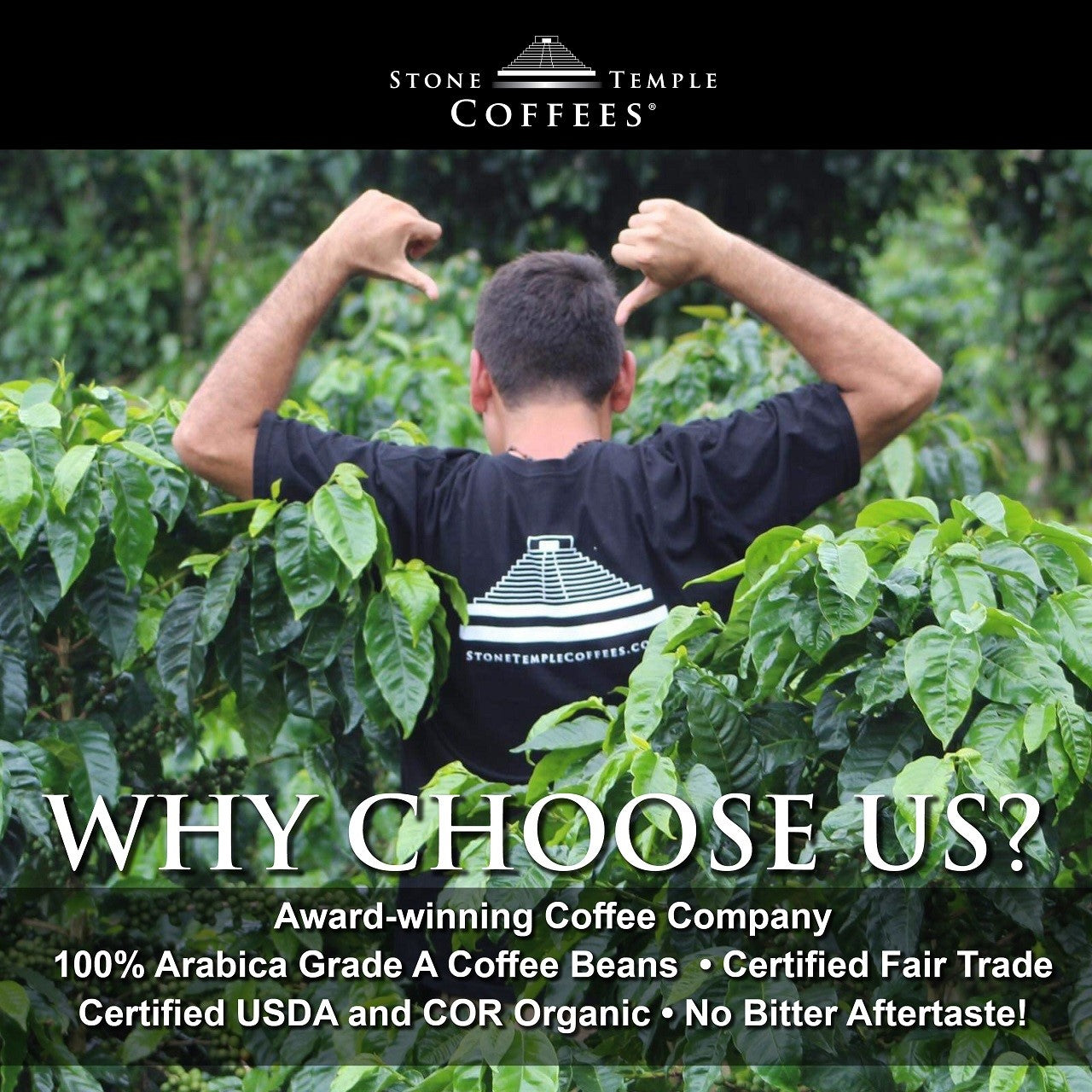 Ethiopian Yirgacheffe - Ground, Medium Roast, Certified Organic OCIA / Fairtrade Coffee 1lb/454g
